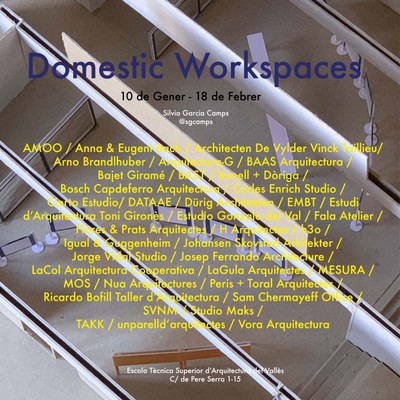 Domestic Workspaces