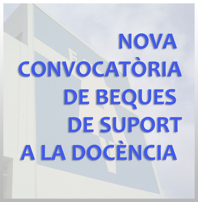 Beques suport a la docència