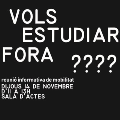 Vols estudiar fora?