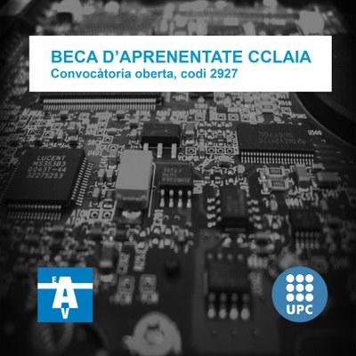 S'obre una nova convocatòria per una beca d'aprenentatge al CCLAIA