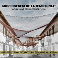 Morfogènesi de la Tensegritat