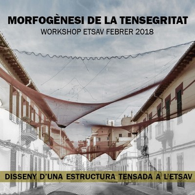 Morfogènesi de la Tensegritat