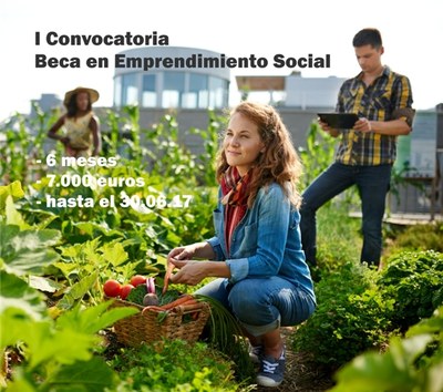 I convocatoria Beca en Emprenedoria Social