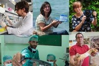 Becas Leonardo a Investigadores y Creadores Culturales, Fundación BBVA