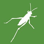 ico-grasshopper.jpg